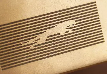 Das neue Logo von Jaguar: Die ...