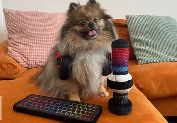 HyperX stellt Gaming-Zubehör vor... für Haustiere