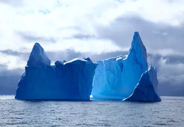 Wissenschaftler haben ein neuronales Netz geschaffen, ...