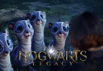 Neue Bilder aus dem Hogwarts Legacy ...