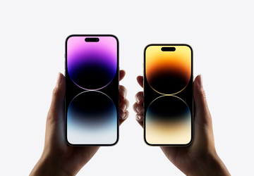 Die Komponenten der US-Version des iPhone ...