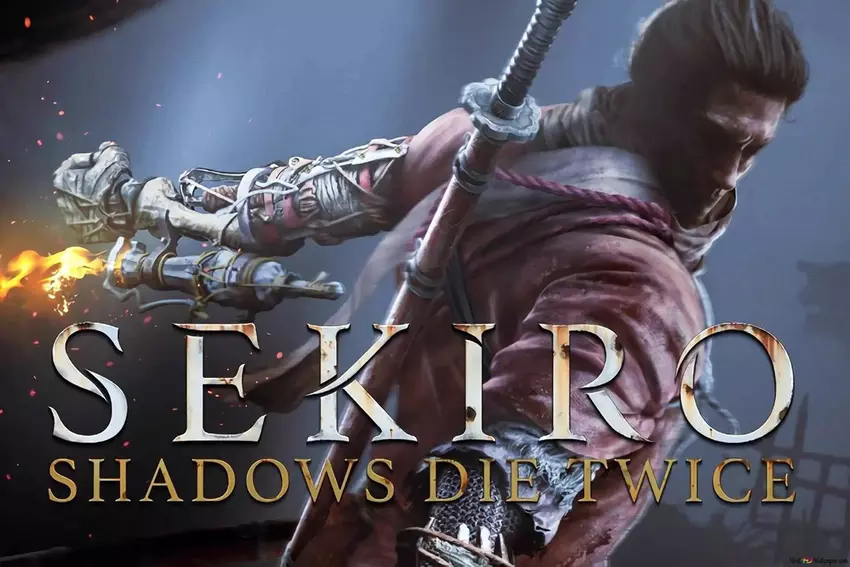 Es ist fast offiziell: Das Hardcore-Actionspiel Sekiro: Shadows Die Twice wird eine Anime-Adaption erhalten