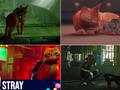 post_big/1200x630-Stray1.jpg