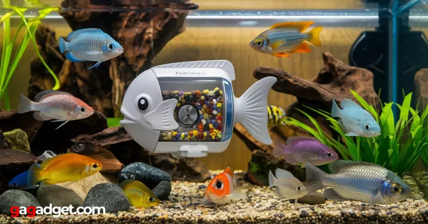 WLAN Fischfutterspender