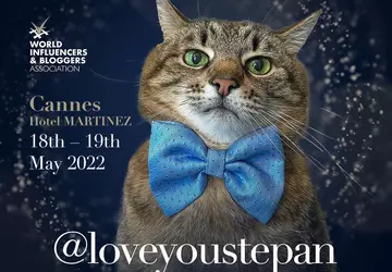 Cat Stepan könnte die einflussreichste Bloggerin ...