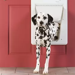 PetSafe Electronic SmartDoor Hunde- und Katzentür
