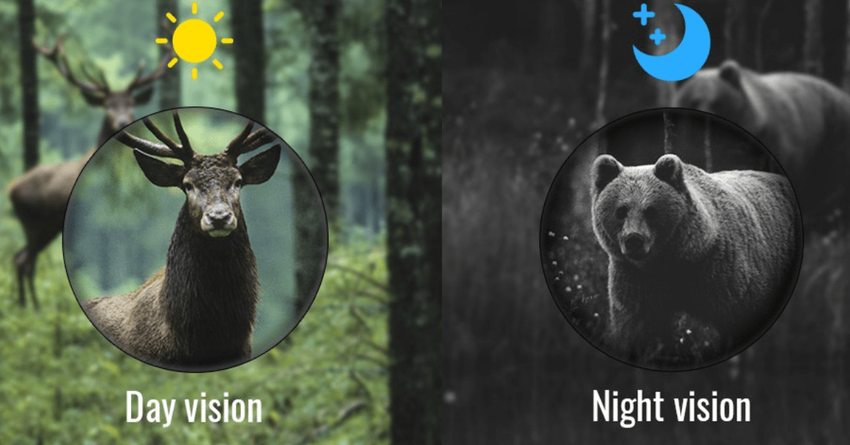 nachtsicht-monokular test