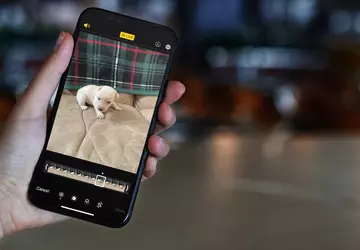 Neues Google-Tool ermöglicht die Übertragung von ...