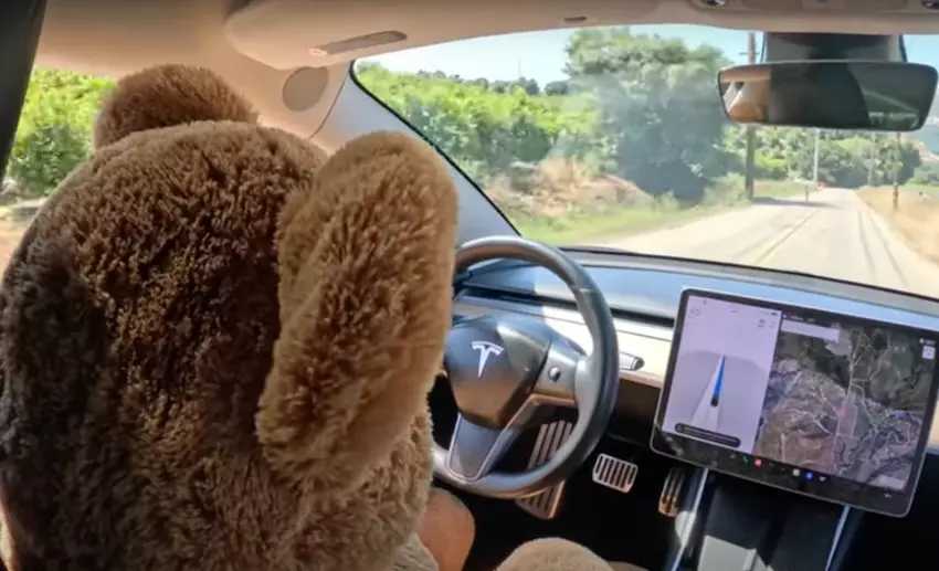 Das Sicherheitssystem von Tesla erlaubte dem Teddybären, den Drohnenmodus "Full Self-Driving" zu nutzen