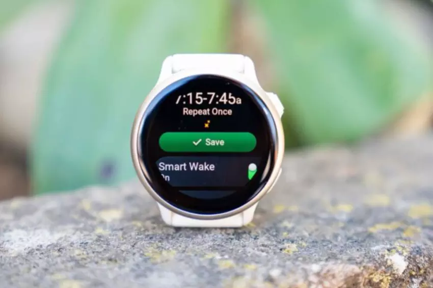  Vivoactive 6 gegen Venu 3S