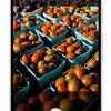 Vorschau auf die Funktionen des Google Pixel