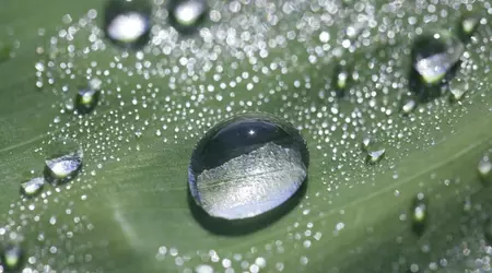 Wissenschaftler haben den Prozess der Wasserbildung mit Hilfe der Nanotechnologie auf Video aufgezeichnet