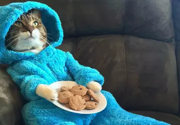 Das Spiel: Die Nachrichten, die uns ...