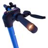 Alpenroller Miniatur - Bild 1