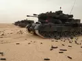post_big/Gepard_bxnvRuY.jpg
