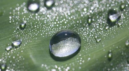Wissenschaftler haben den Prozess der Wasserbildung mit Hilfe der Nanotechnologie auf Video aufgezeichnet