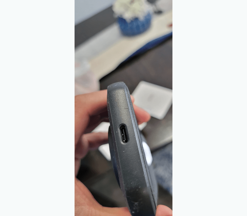 FLIR C5 Wärmebildkamera für Zuhause