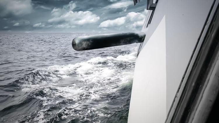 Schwedische Armee bestellt neue leichte Torpedos ...