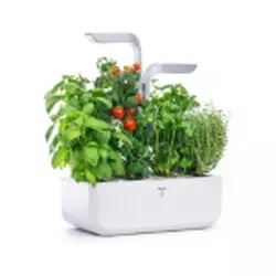 Véritable Smart Indoor Garten