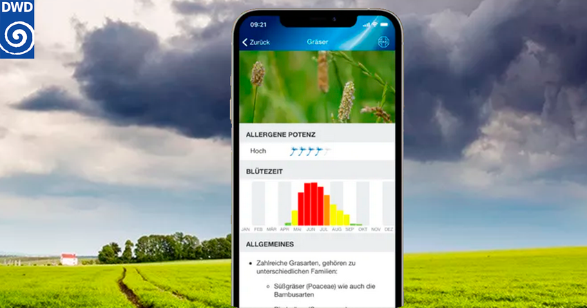 Die neue interaktive Karte des DWD zeigt die Bewegung von Allergieauslösern: Deutsche Allergiker sind jetzt gewarnt und vorbereitet