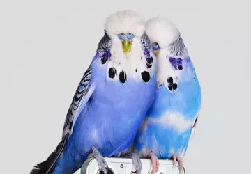 Der neue Teaser gibt uns einen ...