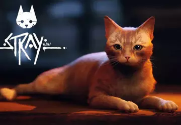 Fußball, eine düstere Zukunft und SEALs ...