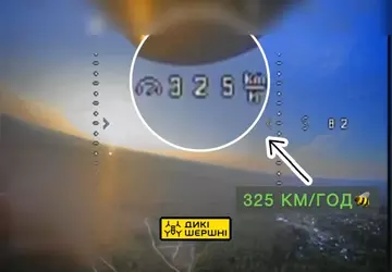 Ukrainische Entwickler von Wild Hornets übertakten ...