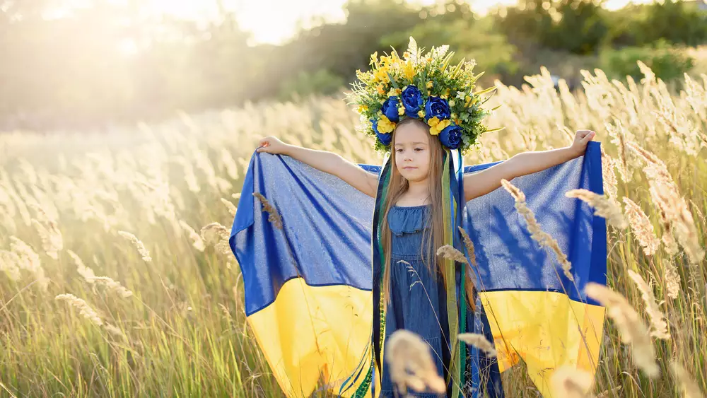 Hacker haben die Rosreestr-Website gehackt und Glückwünsche zum Verfassungstag der Ukraine veröffentlicht