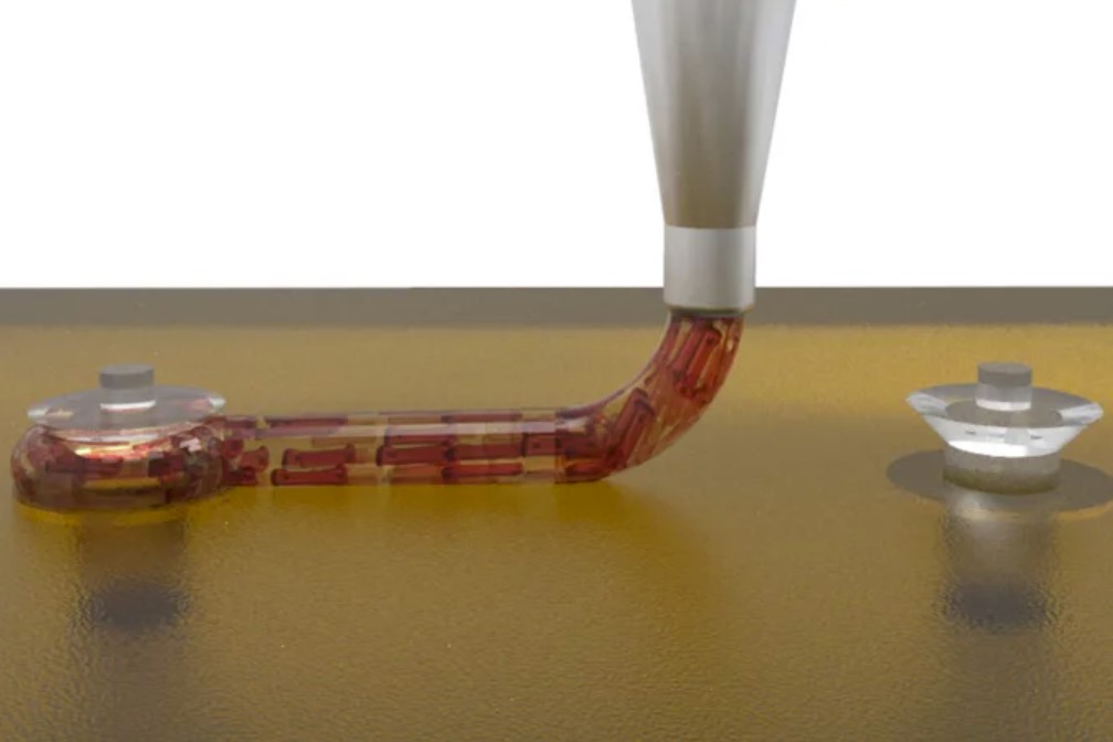 Wissenschaftler des Wyss Institute in Harvard haben ein funktionsfähiges Stück eines Herzens in 3D gedruckt Wissenschaftler des Wyss Institute in Harvard haben ein funktionsfähiges Stück eines Herzens in 3D gedruckt