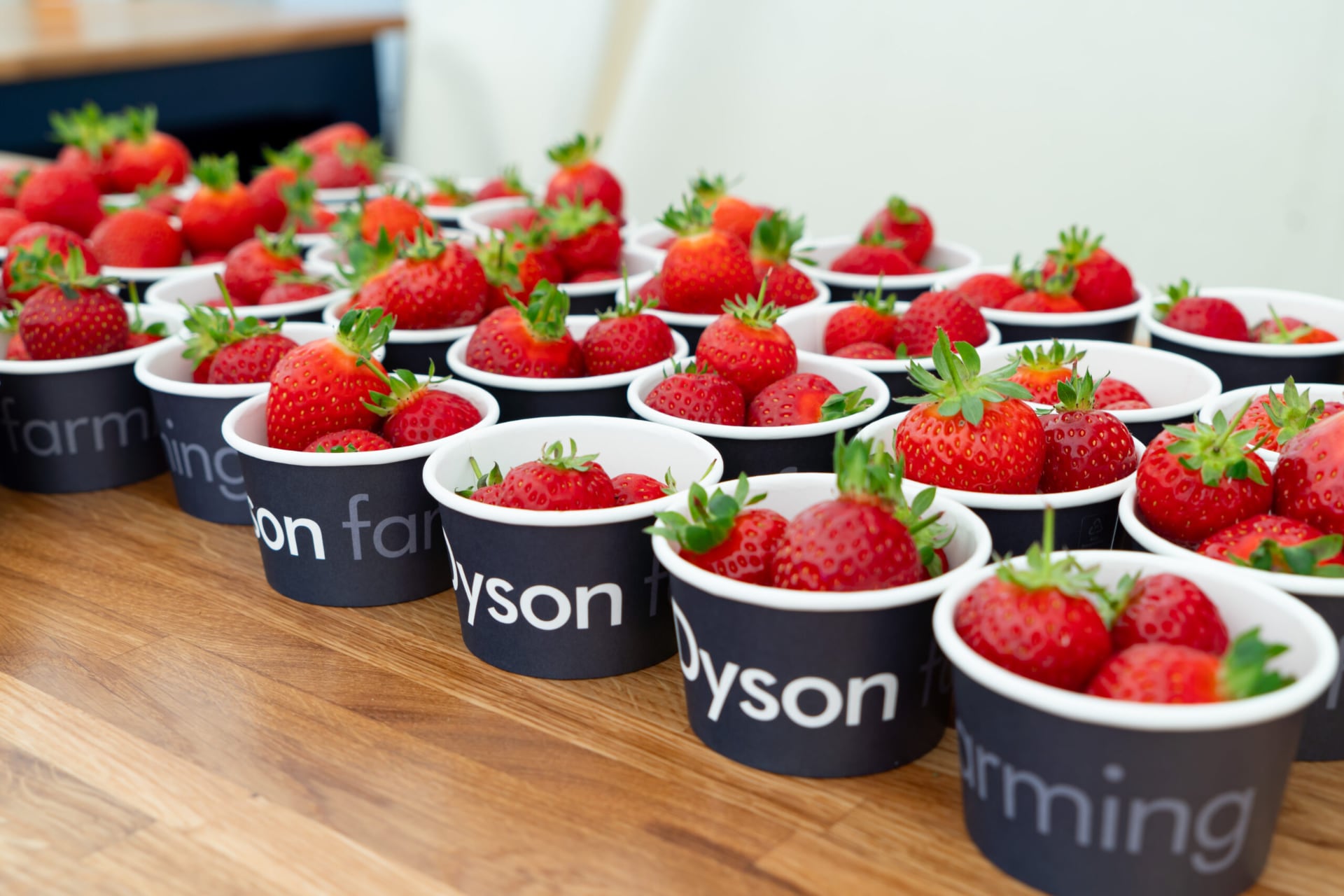 Herausgeberbemerkung: Erdbeeren, Staubsauger und britischer Surf - wie Dyson einen Bauernhof in ein Labor der Zukunft verwandelte Herausgeberbemerkung: Erdbeeren, Staubsauger und britischer Surf - wie Dyson einen Bauernhof in ein Labor der Zukunft verwandelte