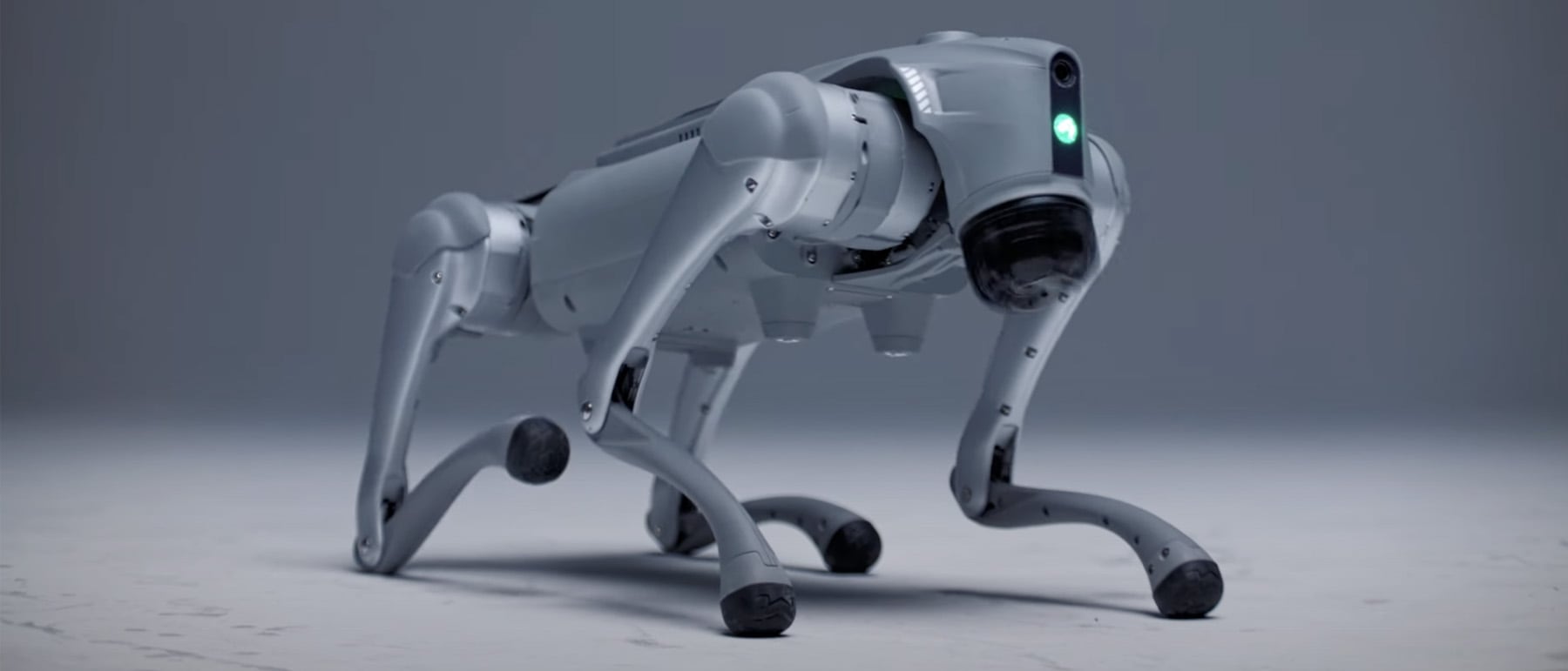 Innovativer Ansatz: IntuiCell-Technologie in der Robotik KI-Roboter: wie die IntuiCell-Technologie das Spiel verändert