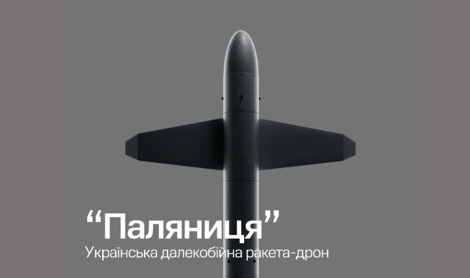Volodymyr Zelensky zeigte das Aussehen und verriet einige Details der ukrainischen Drohnenrakete "Palyanitsya" Volodymyr Zelensky zeigte das Aussehen und verriet einige Details der ukrainischen Drohnenrakete "Palyanitsya"