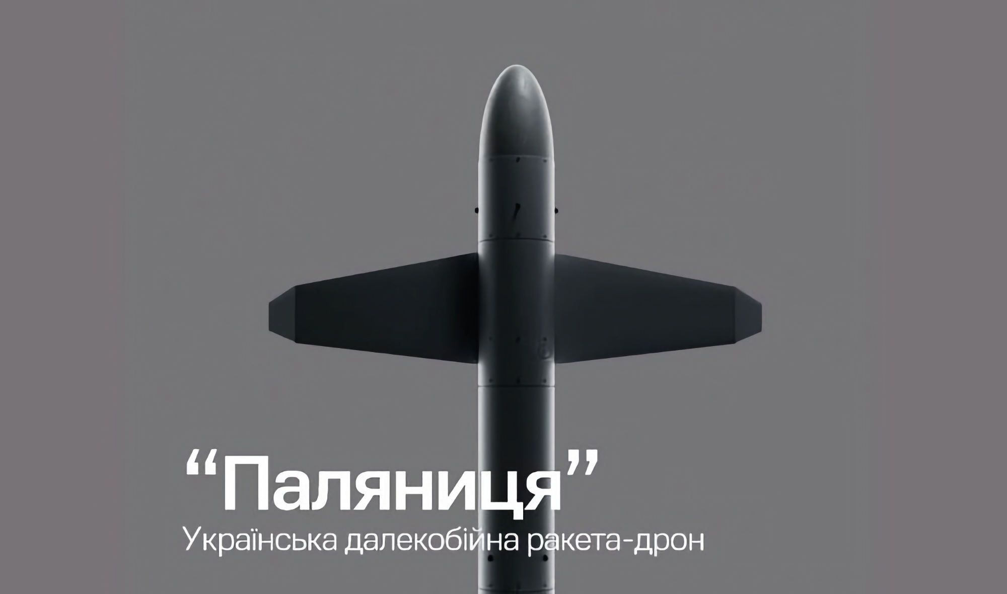 Ukrainische Drohnenrakete "Palianitsya" kostet weniger als 1 Million Dollar Ukrainische Drohnenrakete "Palianitsya" kostet weniger als 1 Million Dollar