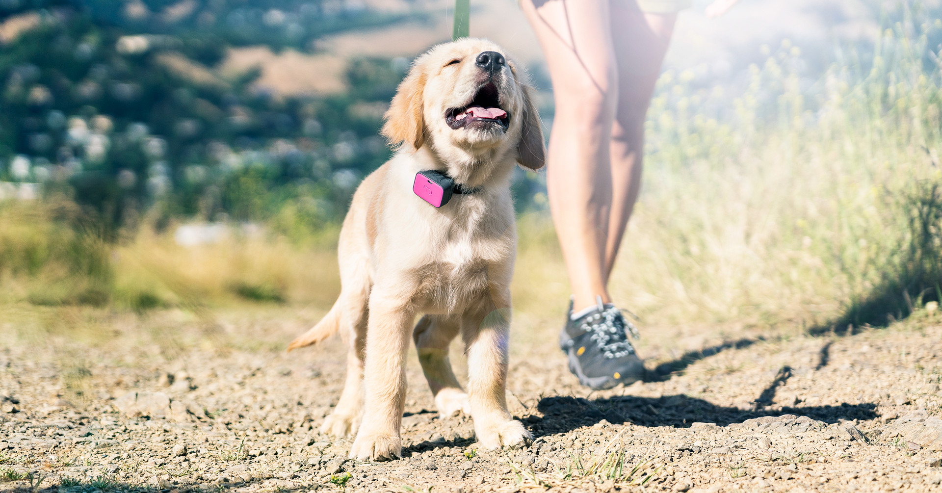 Beste GPS-Tracker für Hunde Bewertung 2025 Beste GPS-Tracker für Hunde Bewertung 2025