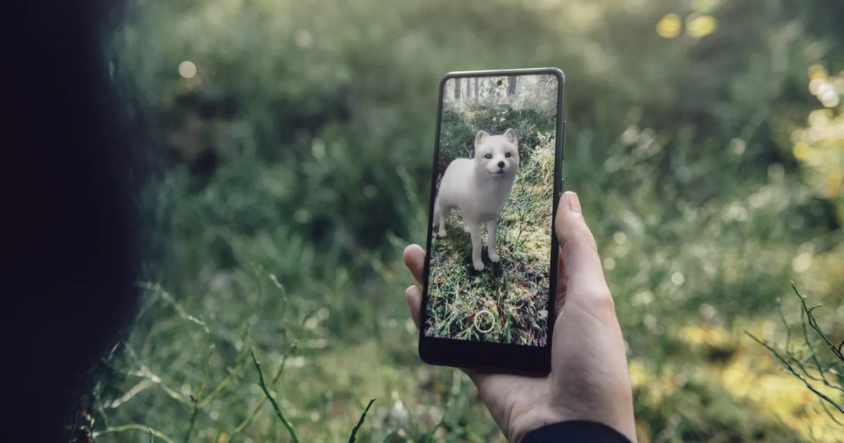 Google entfernt die meisten 3D-Tiere und andere Modelle aus der Suche Google entfernt die meisten 3D-Tiere und andere Modelle aus der Suche
