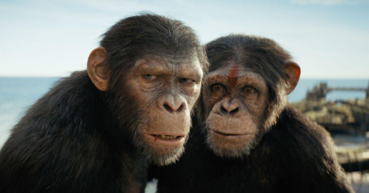 Kingdom of the Planet of the Apes hat am ersten Wochenende in den USA 56 Millionen Dollar eingespielt, das zweitbeste Ergebnis in der Geschichte der Reihe. Kingdom of the Planet of the Apes hat am ersten Wochenende in den USA 56 Millionen Dollar eingespielt, das zweitbeste Ergebnis in der Geschichte der Reihe.