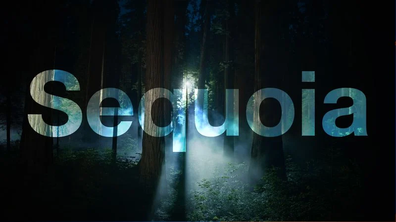 MacOS Sequoia 15.3 Update: Dritte Beta-Version ist in den Händen der Entwickler Apple hat die dritte Beta-Version von macOS Sequoia 15.3 für Entwickler vorgestellt: Was ist neu?