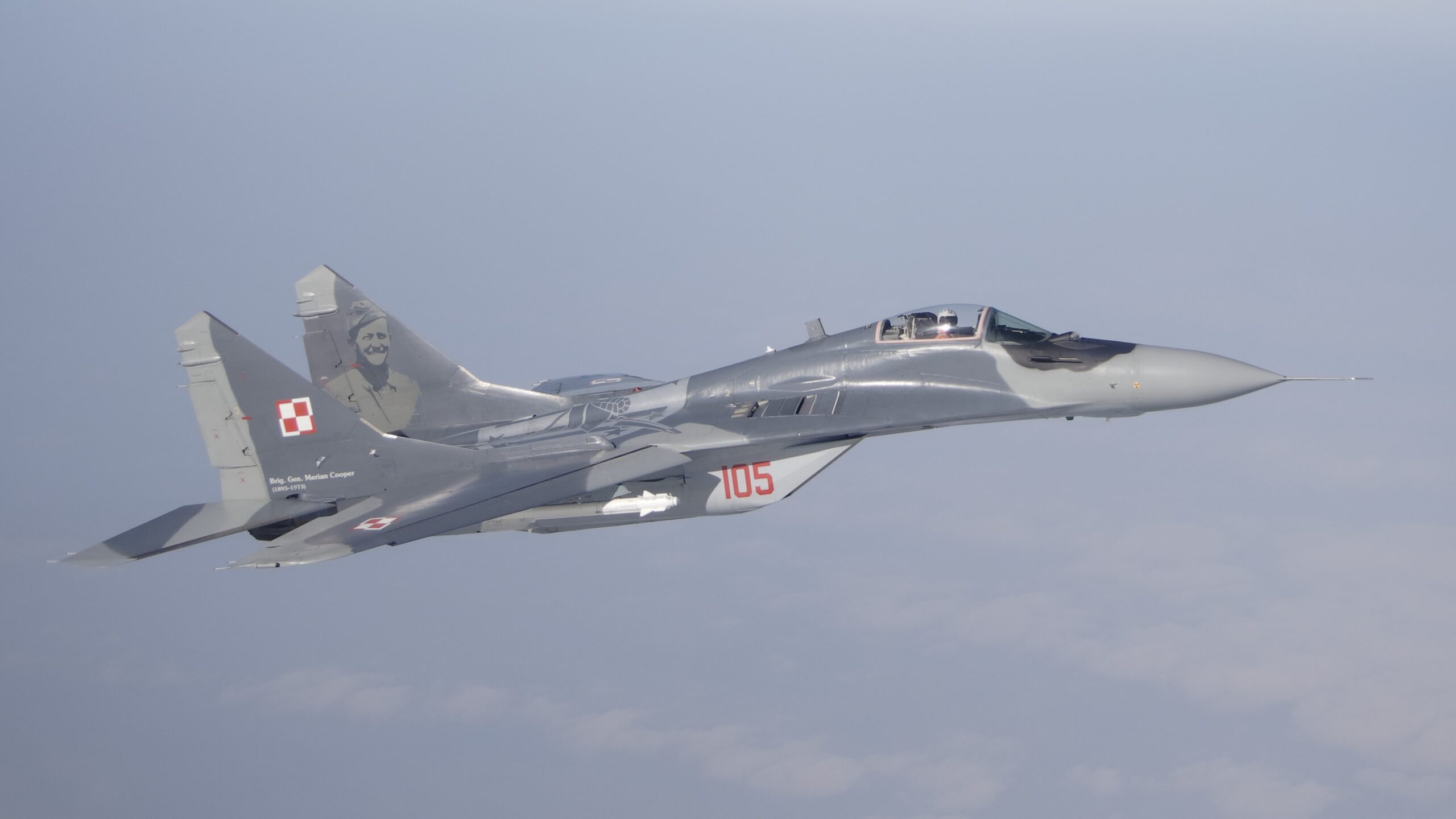 Die Ukraine hat Polen um den Rest der MiGs gebeten