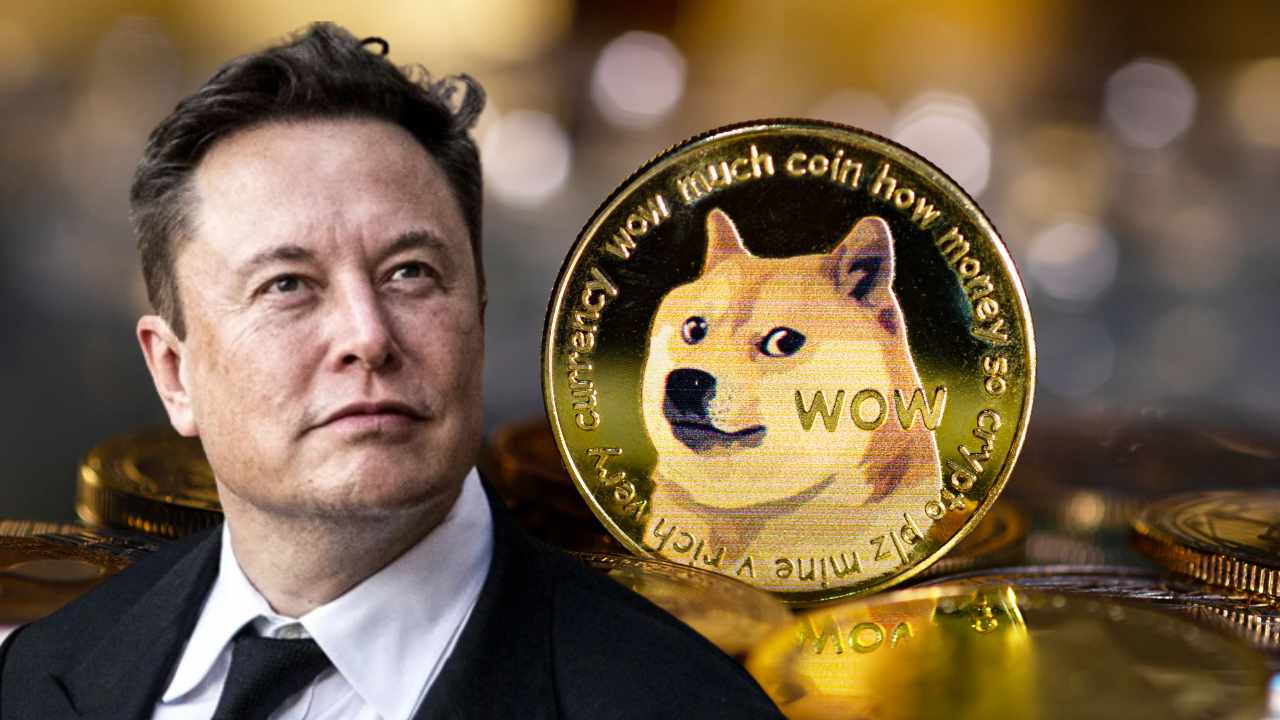 Sie wollen 256.000.000.000 Dollar von Elon Musk für die Erstellung einer Kryptowährungspyramide zurückfordern