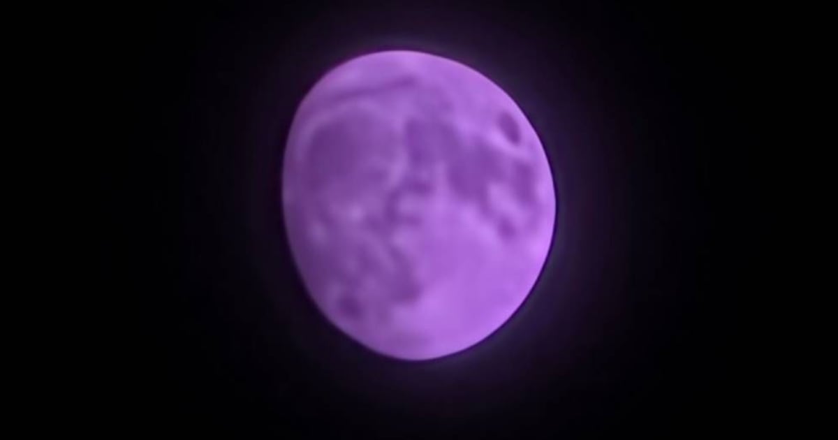 So sieht der lila Mond unter x30 Zoom aus: eine Entdeckung für Astronomie-Enthusiasten