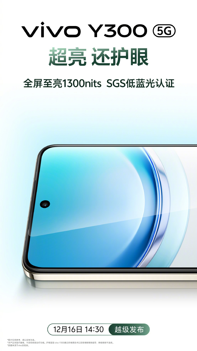 Vivo Y300 Smartphone Design und Bildschirm