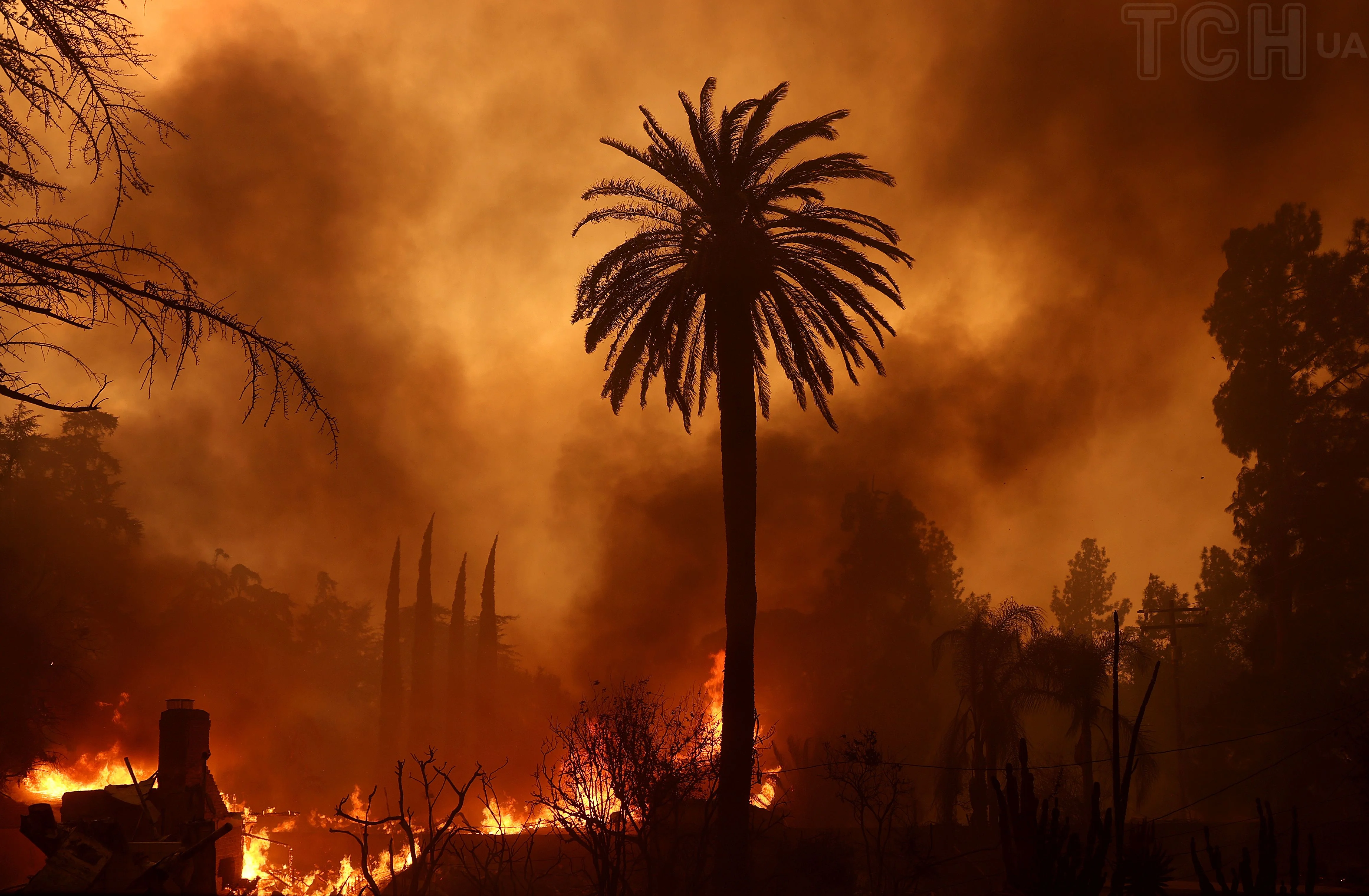 Waldbrand in Los Angeles