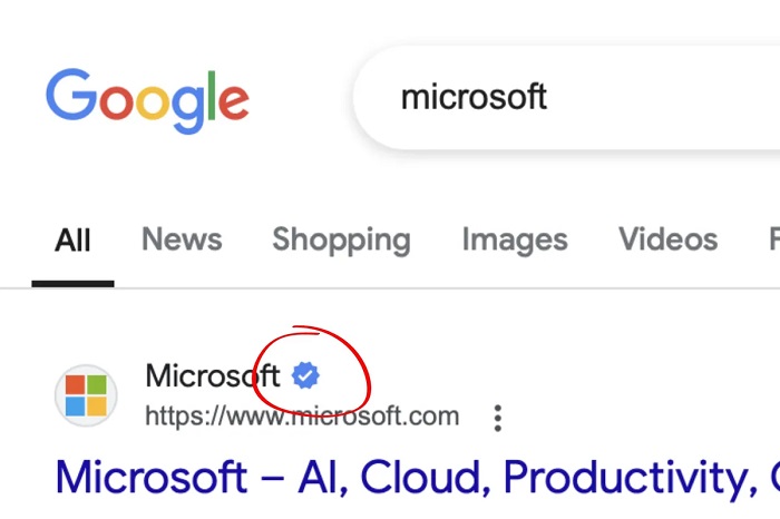 Google testet eine Funktion zur Überprüfung von Websites, die dazu beitragen soll, Konversionen auf gefälschten Seiten zu verhindern-2 Google testet eine Funktion zur Überprüfung von Websites, die dazu beitragen soll, Konversionen auf gefälschten Seiten zu verhindern-2