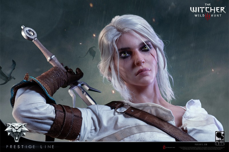 Herald im Stil von The Witcher Herald im Stil von The Witcher