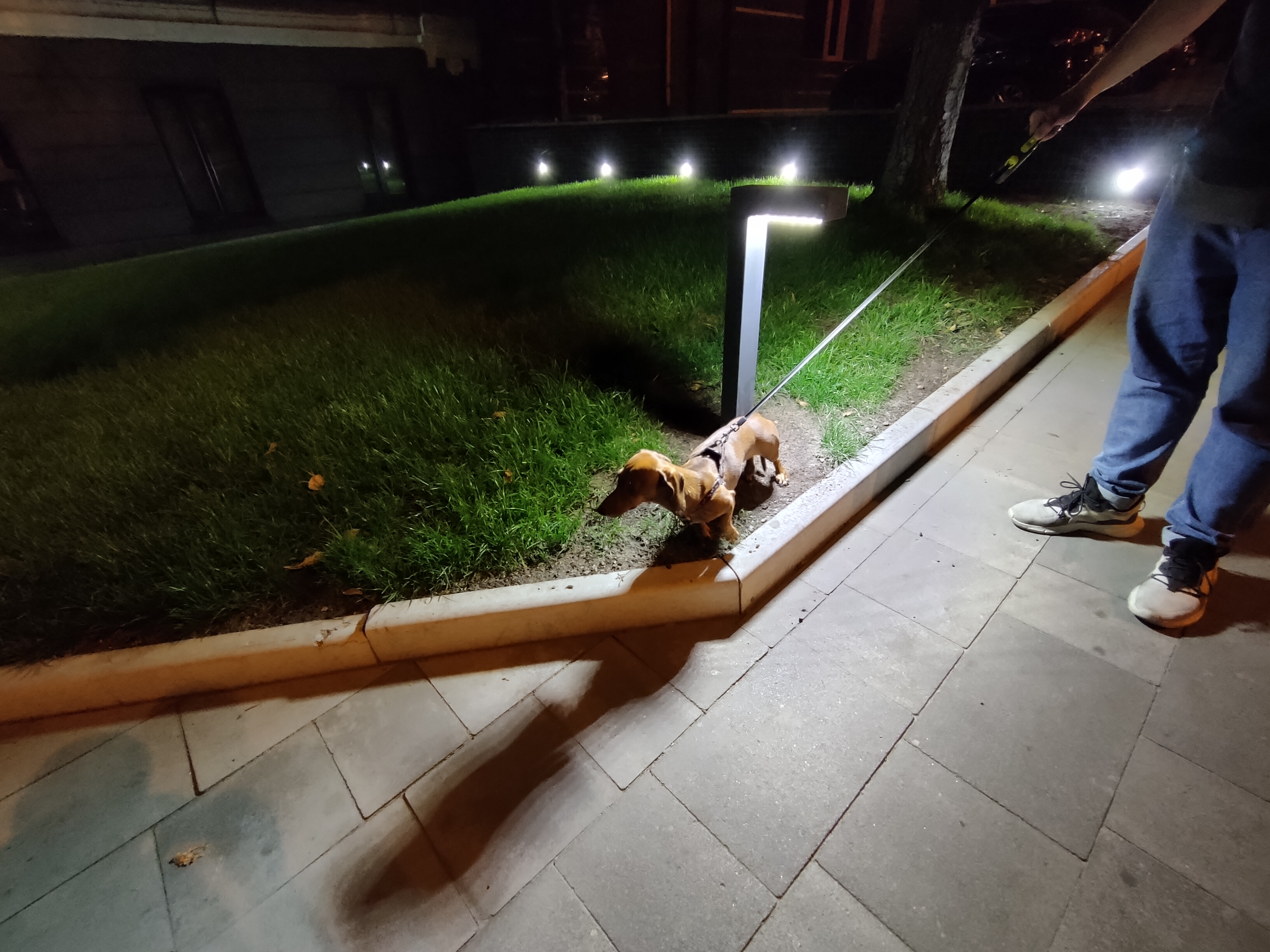 Realme GT Test: das günstigste Smartphone mit dem Flaggschiff-Prozessor Snapdragon 888-396 Realme GT Test: das günstigste Smartphone mit dem Flaggschiff-Prozessor Snapdragon 888-396