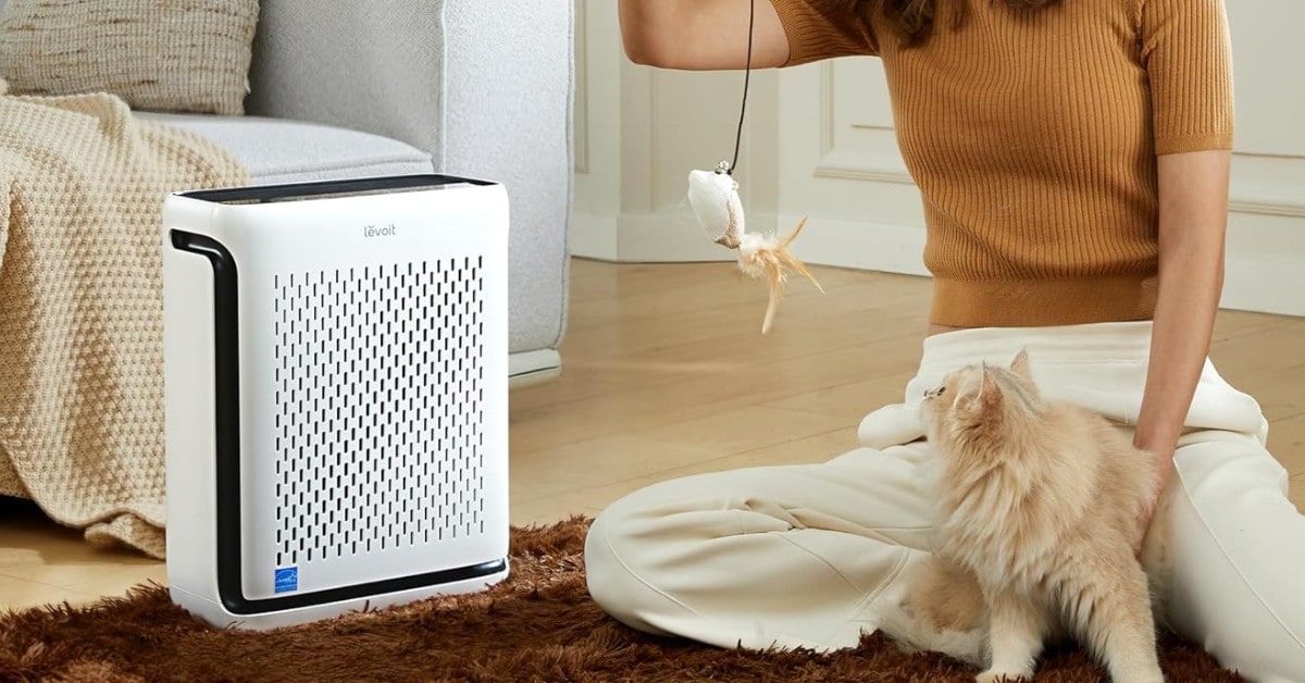 beste luftreiniger für katzen 2025