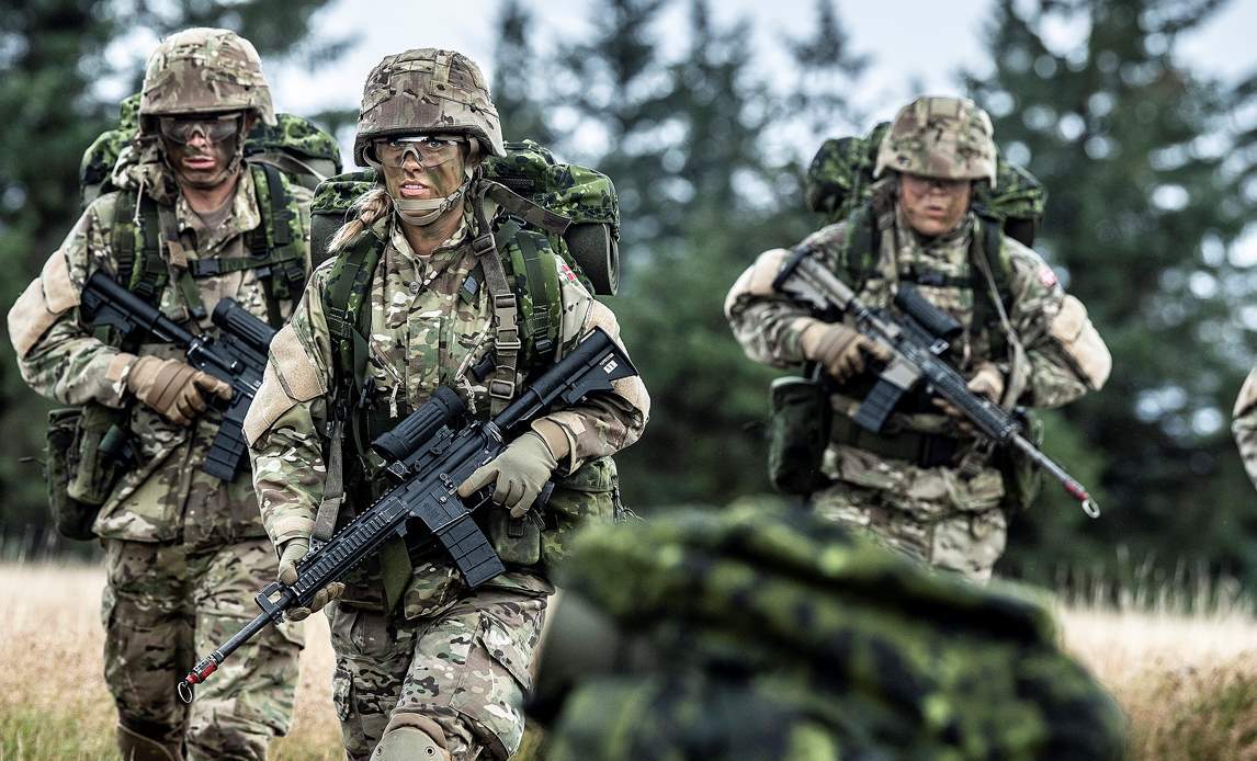 Soldaten der Königlichen Dänischen Armee
