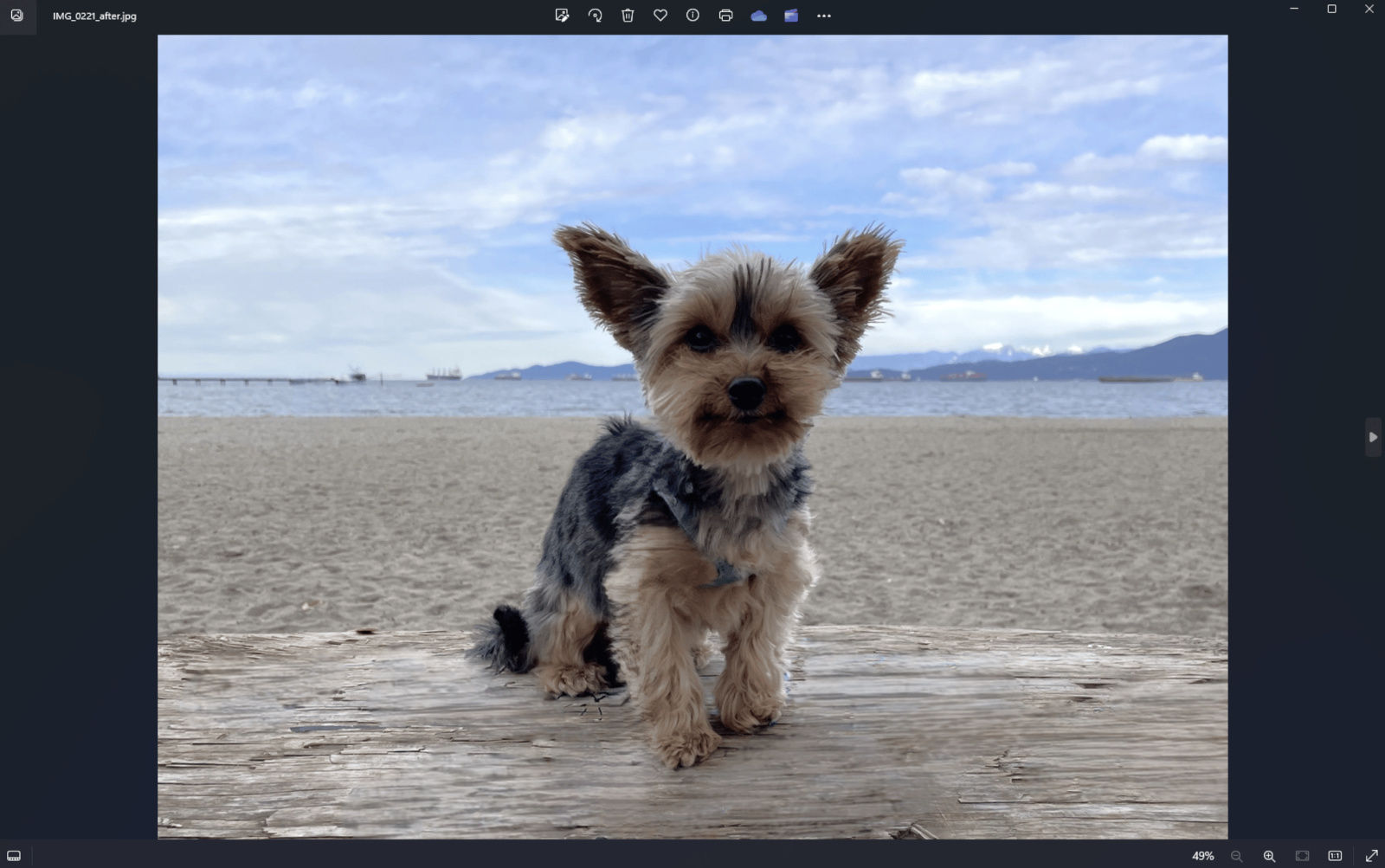 Microsoft fügt der Windows-Fotos-App ein KI-gestütztes generatives Objektlöschungswerkzeug hinzu-2 Microsoft fügt der Windows-Fotos-App ein KI-gestütztes generatives Objektlöschungswerkzeug hinzu-2