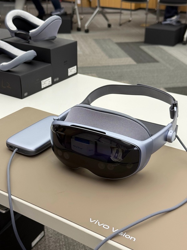 Display des Vivo Vision Discovery Edition Headsets Display des Vivo Vision Discovery Edition Headsets