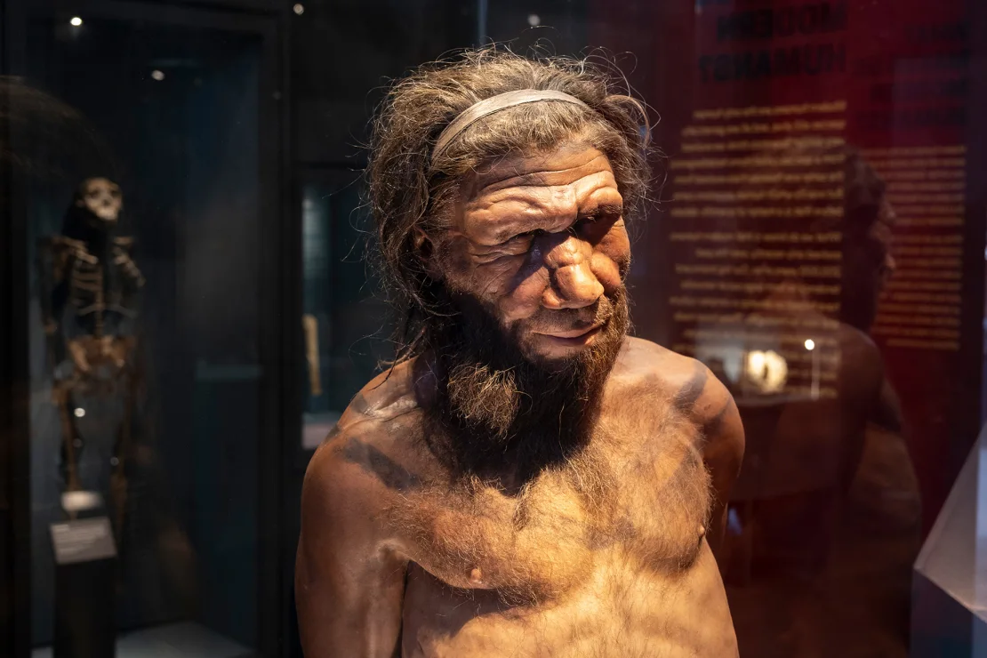 KI hat antimikrobielle Moleküle aus dem Neandertal wieder zum Leben erweckt, um Superbakterien zu bekämpfen KI hat antimikrobielle Moleküle aus dem Neandertal wieder zum Leben erweckt, um Superbakterien zu bekämpfen